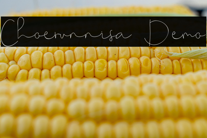 Choerunnisa Demo Example 2