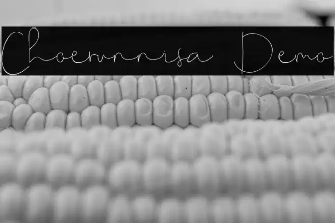 Choerunnisa Demo Font examples