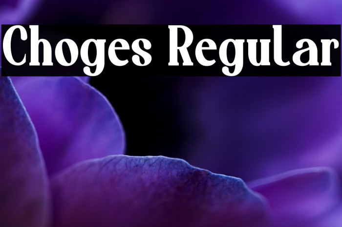 Choges Regular Example 2