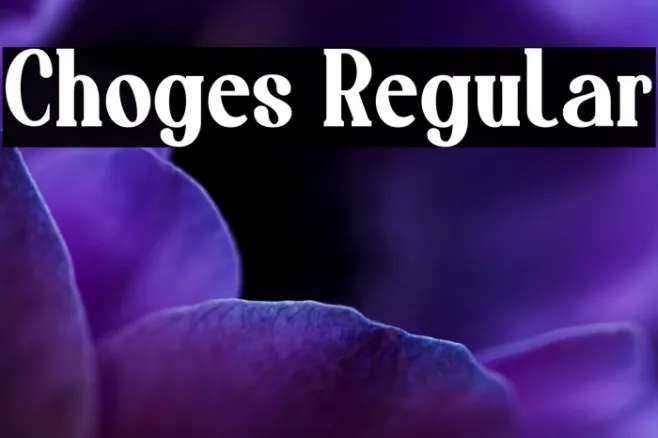 Choges Regular Example 2