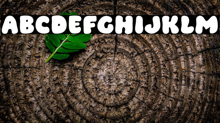 Choice Day Example 2