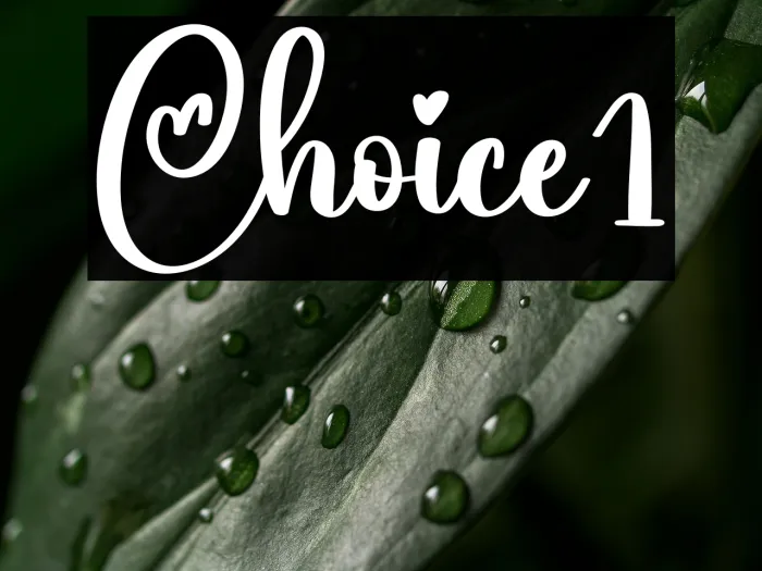 Choice1 Example 3