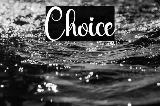 Choice 字体 examples