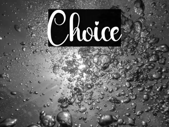 Choice 字体 examples