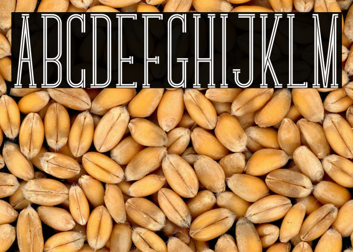 Chokie Crossline Style Example 3