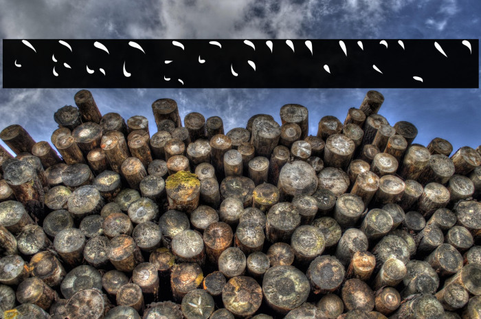 Choko Highlight Example 1