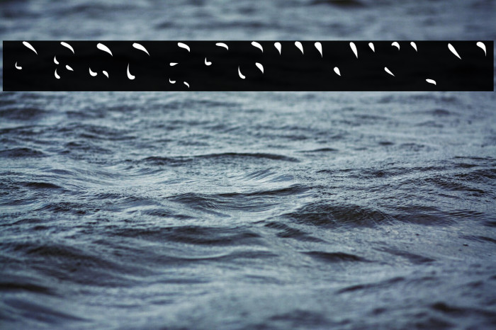 Choko Highlight Example 2