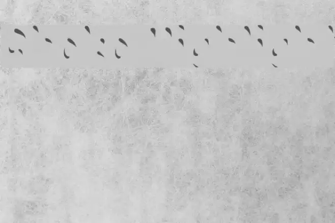 Choko Highlight Font examples