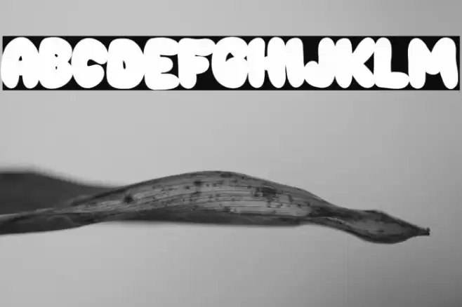 Choko Outline Font examples