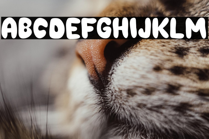 Choko Plain Example 1