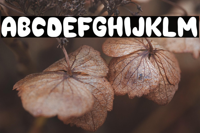 Choko Plain Example 3