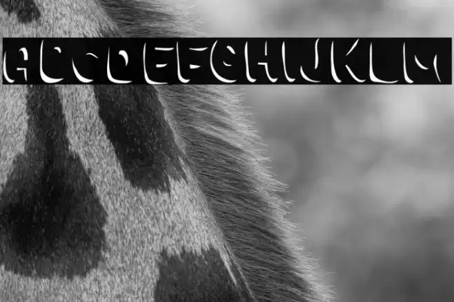 Choko Shadow Font examples