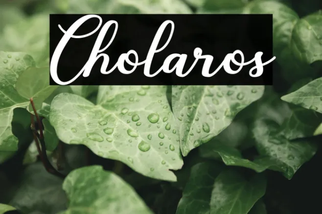 Cholaros Example 2