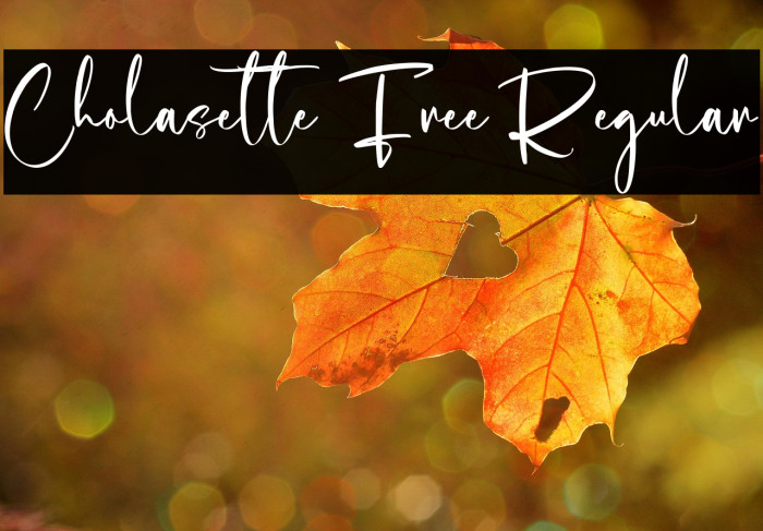 Cholasette Free Regular Example 3