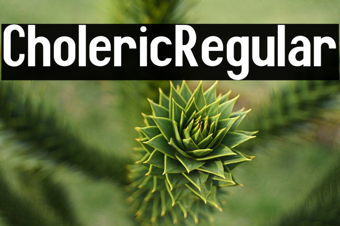 Choleric Regular Example 2