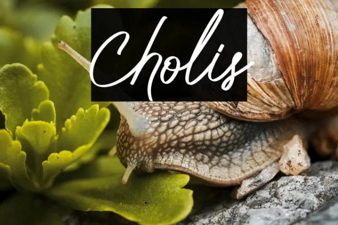 Cholis Example 2