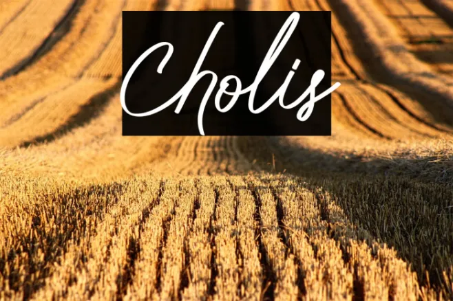 Cholis Example 3