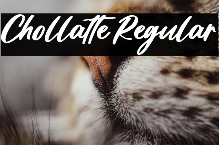 Chollatte Regular Example 1