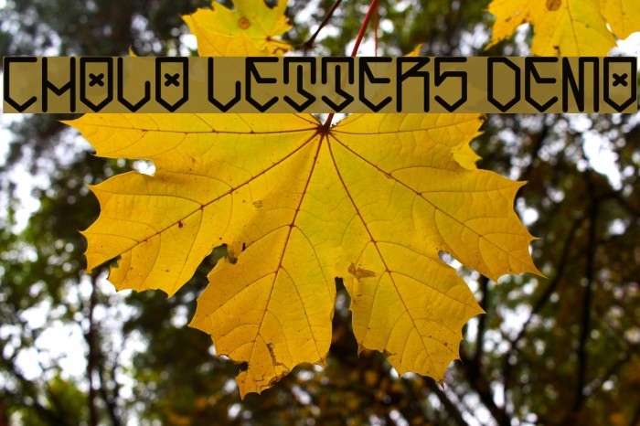 Cholo Letters Demo Example 2