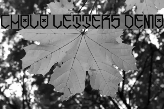 Cholo Letters Demo Font examples