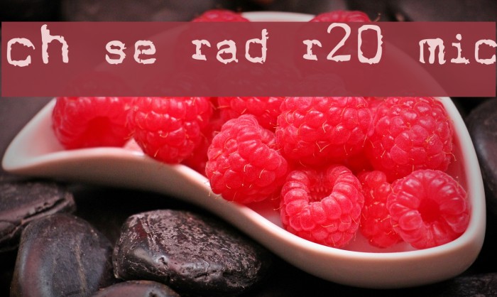 Cholo Sperry Rand R20 Micro Font examples
