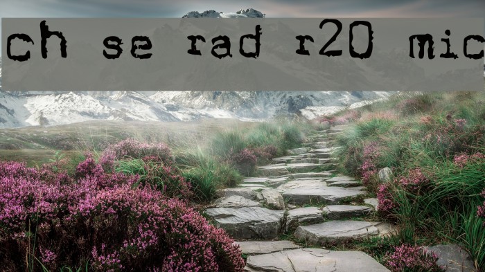 Cholo Sperry Rand R20 Micro Font examples
