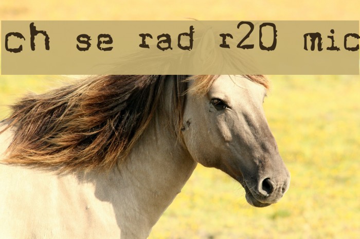 Cholo Sperry Rand R20 Micro Font examples