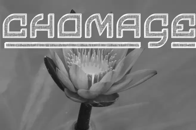 Chomage Font examples