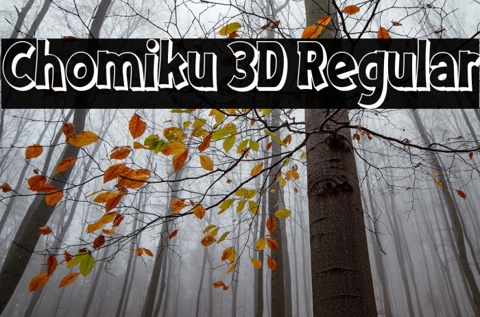 Chomiku 3D Regular Example 1