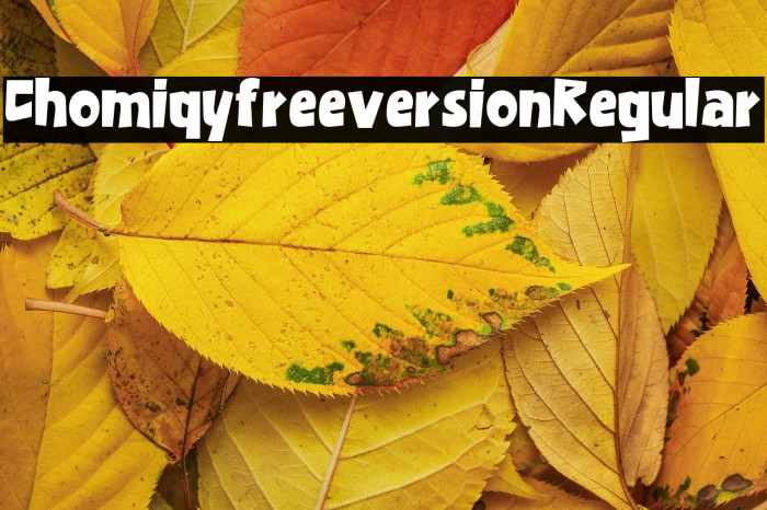 Chomiqy free version Regular Example 1