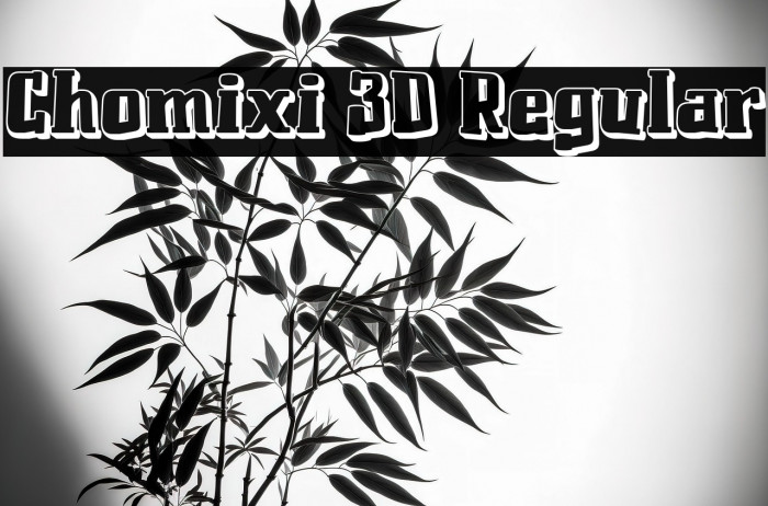 Chomixi 3D Regular Example 2