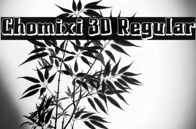 Chomixi 3D Regular Fonte examples