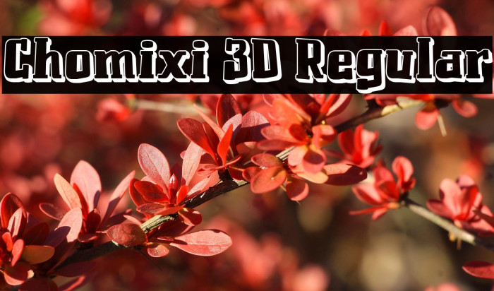 Chomixi 3D Regular Example 3