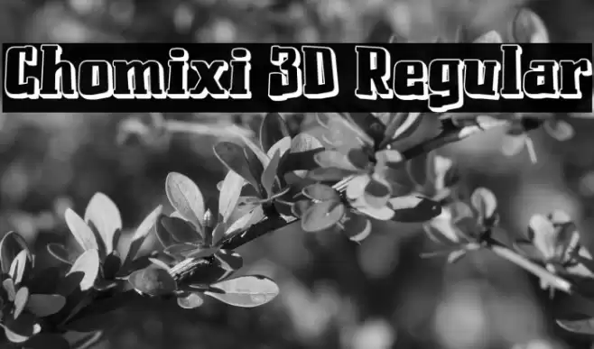 Chomixi 3D Regular Fonte examples