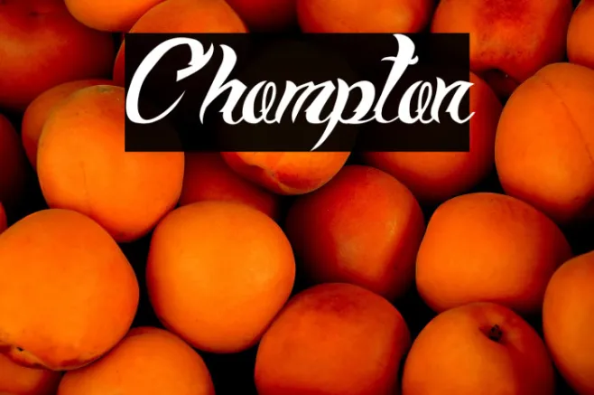 Chompton Example 1