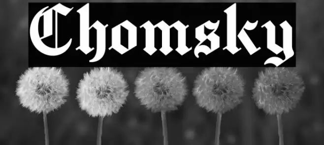 Chomsky Font examples