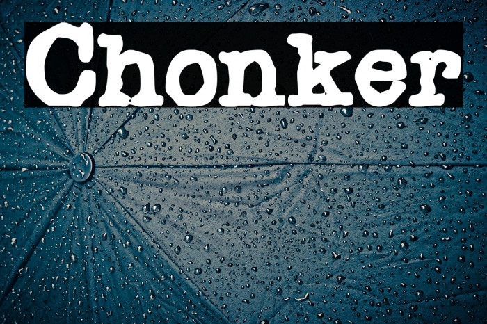 Chonker Font examples