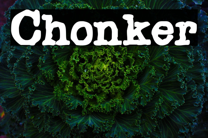 Chonker Font examples