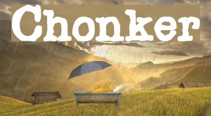 Chonker Font examples