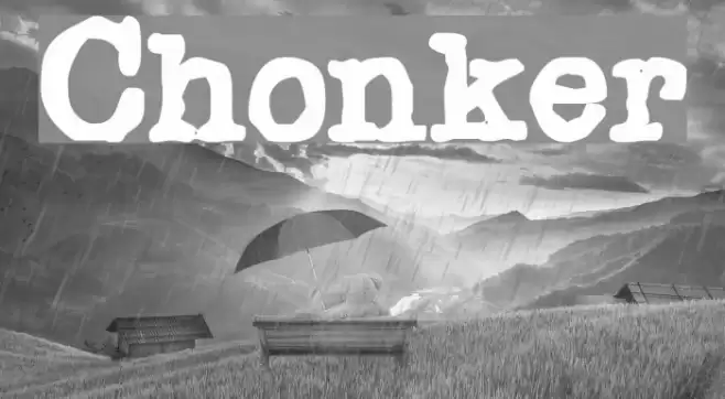 Chonker Шрифта examples