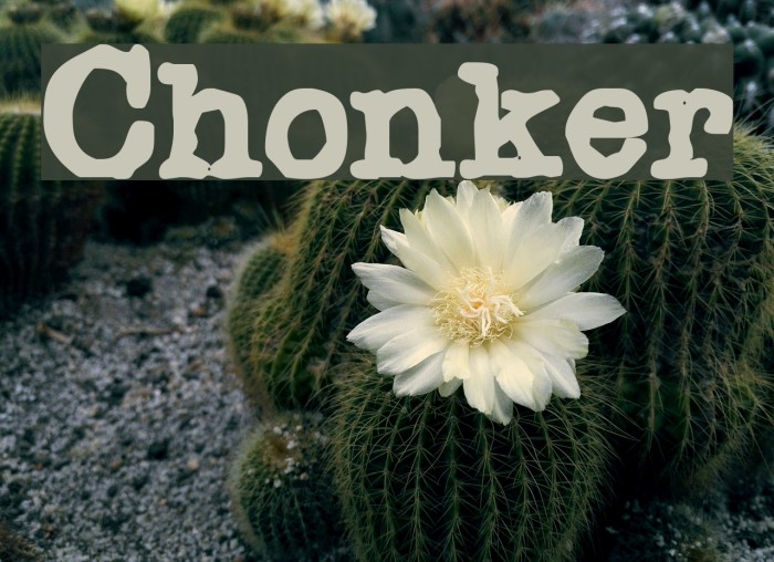 Chonker Font examples