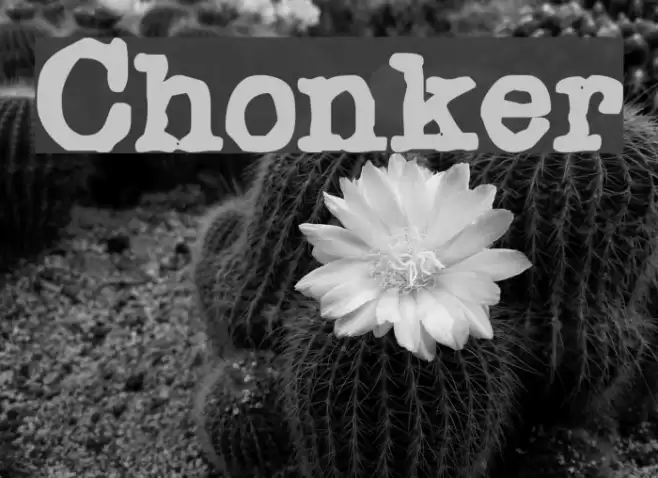 Chonker Шрифта examples