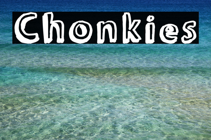Chonkies Font examples