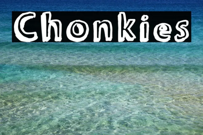 Chonkies Example 1