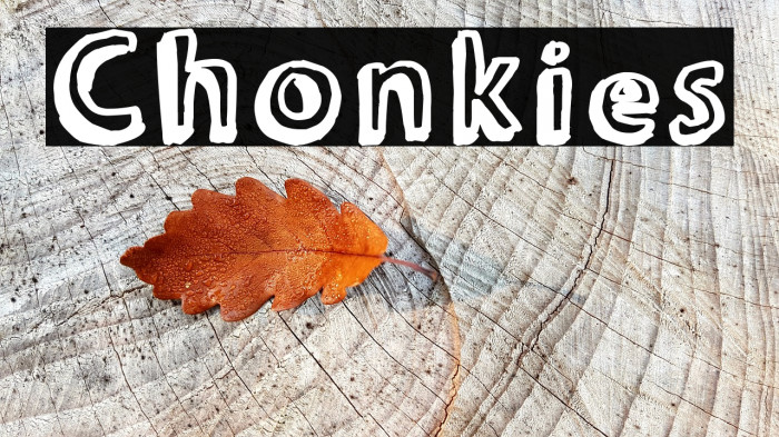 Chonkies Font examples