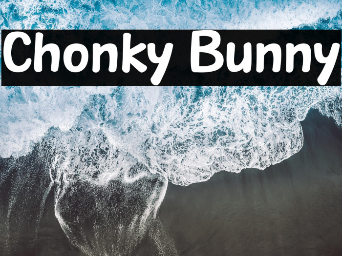Chonky Bunny Example 3