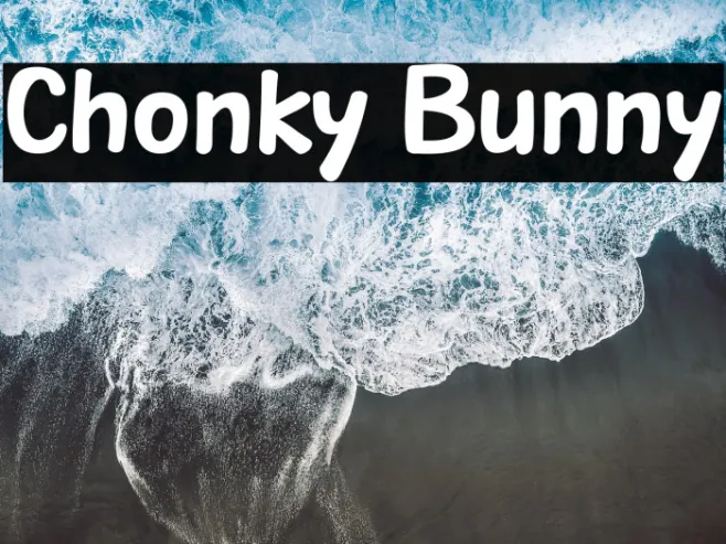 Chonky Bunny Example 3
