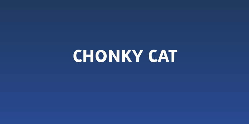Chonky Cat Social Header