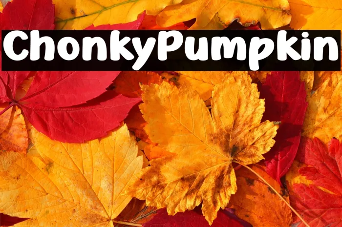 Chonky Pumpkin Example 2