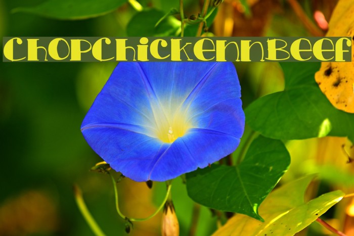 ChopChickennBeef Example 2